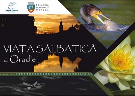 Dublă lansare: O carte despre peștii din Crișul Repede și un album foto cu viața sălbatică din Oradea
