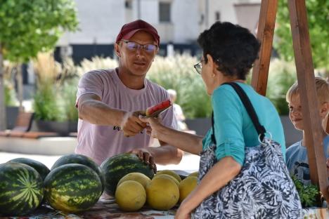 Să-i dăm cep! Fermierii bihoreni se reprofilează tot mai mult pe pepeni și le explică secretele aromelor (FOTO)