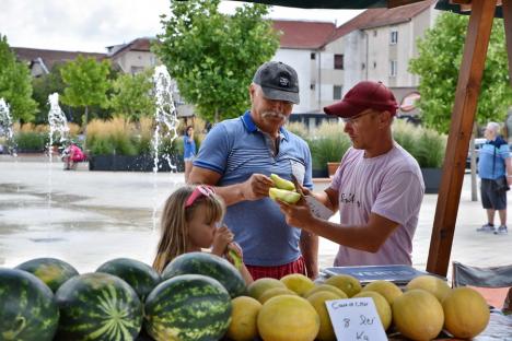 Să-i dăm cep! Fermierii bihoreni se reprofilează tot mai mult pe pepeni și le explică secretele aromelor (FOTO)