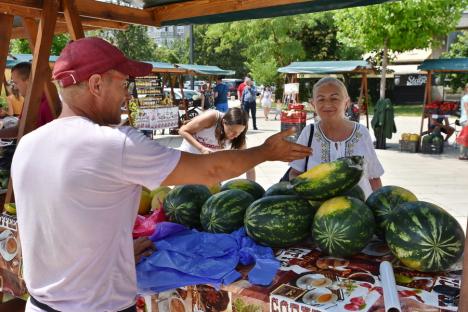 Să-i dăm cep! Fermierii bihoreni se reprofilează tot mai mult pe pepeni și le explică secretele aromelor (FOTO)