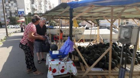 Primii pepeni de anul acesta au apărut în pieţele orădene (FOTO)