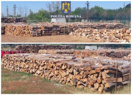 Samsarii de lemne din Bihor, în vizorul Poliției. S-au dat amenzi și s-au confiscat banii proveniți din lemnele vândute la negru