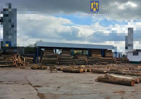 Amendă uriaşă încasată de patronul unui depozit de lemne din Tinca prins cu vânzări 'la negru': Poliţiştii i-au confiscat toată marfa