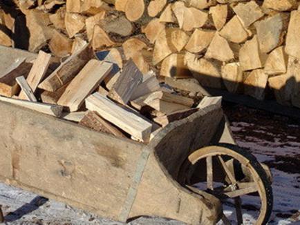 Ulciorul s-a spart: Un hoţ a fost prins în timp ce fura lemne pentru a doua oară din magazia unui pensionar din Ştei