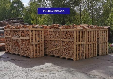 Un TIR încărcat cu 22 metri cubi de lemne, oprit în drum spre Borş. Întreaga încărcătură a fost confiscată (FOTO)