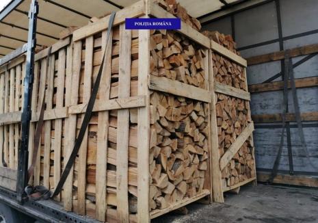 Un TIR încărcat cu 22 metri cubi de lemne, oprit în drum spre Borş. Întreaga încărcătură a fost confiscată (FOTO)