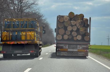 Pagubă totală pentru un şofer prins în trafic cu lemne fără acte: Poliţiştii au confiscat încărcătura cu camion cu tot şi l-au amendat cu 25.000 lei