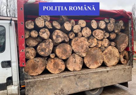 Hoţ de lemne prins în flagrant într-o pădure din Finiş. Până să-l dibuiască poliţiştii, omul a tăiat 17 arbori