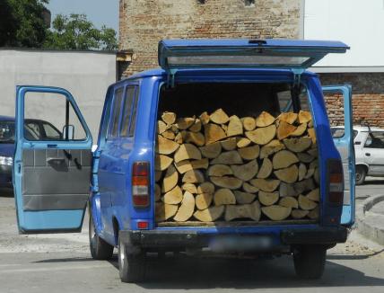 Samsar de lemne din Săcueni, prins cu zeci de transporturi făcute pe un singur aviz. Poliţiştii de la Protecţia Fondului Forestier l-au pus să predea toţi banii încasaţi