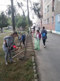 Let’s do it, Bihor: Peste 23.000 de voluntari au adunat 30.000 de saci de gunoaie (FOTO)