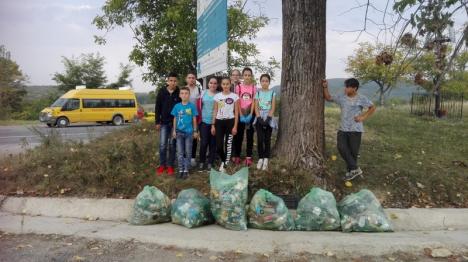 Let’s do it, Bihor: Peste 23.000 de voluntari au adunat 30.000 de saci de gunoaie (FOTO)
