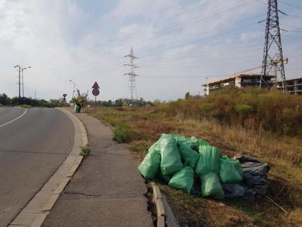 Ziua curăţeniei: Peste 18.000 de voluntari bihoreni au curăţat gunoaiele aruncate prin judeţ (FOTO)