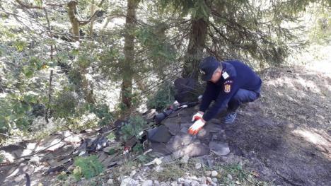 Curăţenie generală: Voluntari din tot Bihorul au adunat gunoaiele aruncate de alţii (FOTO)