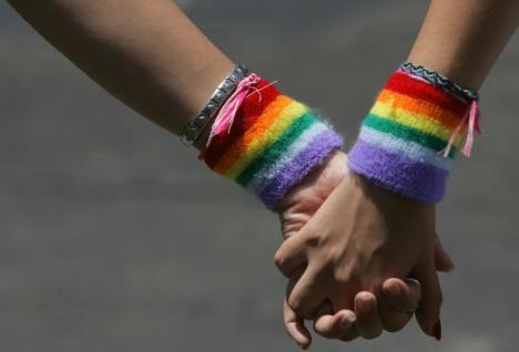 Proiectul de lege anti-LGBT, propus de Biró Rozália și alți parlamentari UDMR, adoptat tacit de Senat