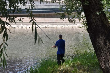 Duşi cu pluta... de pandemie: Elevii de la Liceul German din Oradea au făcut rafting pe Criş, cu două plute din PET-uri (FOTO / VIDEO)