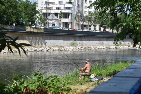 Duşi cu pluta... de pandemie: Elevii de la Liceul German din Oradea au făcut rafting pe Criş, cu două plute din PET-uri (FOTO / VIDEO)