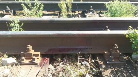 Şocant! Un adolescent de 16 ani din Oradea s-a sinucis, punându-şi capul pe linia de tren (FOTO)