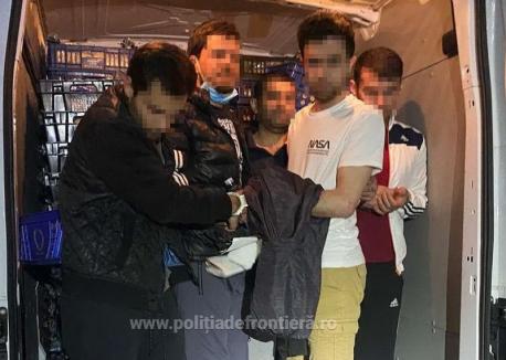 5 migranţi, găsiţi de poliţiştii din Borş printre... lipii (VIDEO)