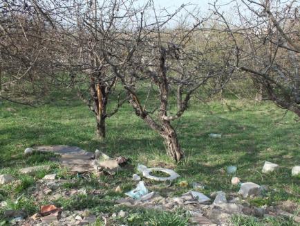 Livada cu... moloz: La marginea Oradiei, vechi livezi au devenit gropi clandestine de gunoi (FOTO)