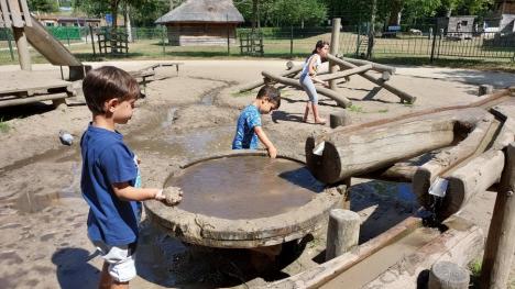 Ieșiți la plictiseală! Parcurile din Oradea sunt prea puțin atractive pentru copiii de vârstă școlară (FOTO)