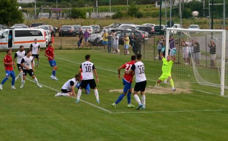 Lotus Băile Felix s-a impus cu scorul de 3-1 în faţa celor de la Sănătatea Cluj şi a legat două victorii în Liga a III-a