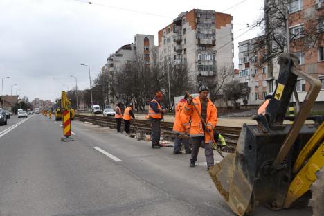 Tăierile de arbori impuse de modernizarea Bulevardului Nufărul-Cantemir din Oradea stârnesc revolta riveranilor (FOTO / VIDEO)