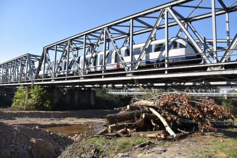 Lucrări în Criș, în zona Silvaș: Se pregătește platforma pentru șantierul viitorului pod feroviar (FOTO)