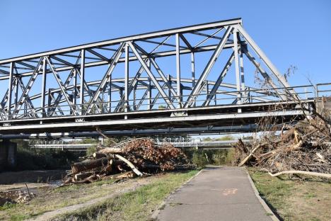 Lucrări în Criș, în zona Silvaș: Se pregătește platforma pentru șantierul viitorului pod feroviar (FOTO)