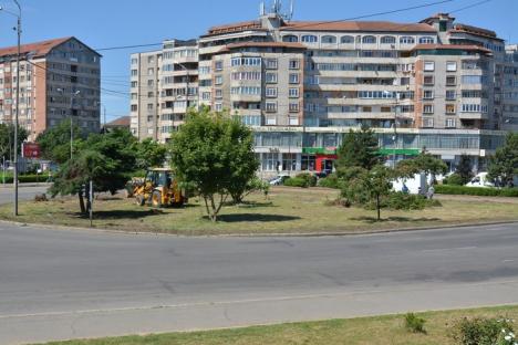 Verde în refacere: Spaţiul verde din intersecţia bulevardelor Decebal şi Dacia este amenajat de compania Emerson (FOTO)