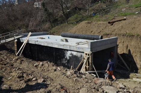 Drumul (merge) rapid. Selina toarnă structura de susţinere a viaductului peste străzile Gheorghe Doja şi Louis Pasteur (FOTO)