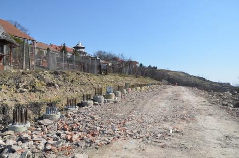 Drumul (merge) rapid. Selina toarnă structura de susţinere a viaductului peste străzile Gheorghe Doja şi Louis Pasteur (FOTO)