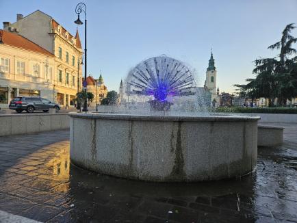 Lăsate de izbeliște: Numeroase lucrări comandate de Primăria Oradea se degradează pentru că nu sunt întreținute (FOTO)