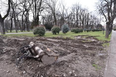 Nici Parcul 1 Decembrie n-a scăpat de șantier! Cauza săpăturilor în zona verde din centrul Oradiei (FOTO)