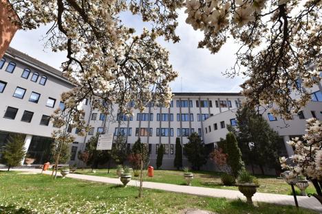 Euro-Campus: Campusul Universităţii din Oradea se modernizează din temelii, prin proiecte pe bani europeni (FOTO)