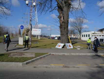 Mărţişor în şantier. Strada Universităţii din Oradea a fost închisă pentru lucrări la noua linie de tramvai (FOTO / VIDEO)