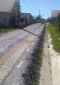 Primarul de Sânmartin, Cristian Laza, acuzat că toarnă asfalt în comună direct pe pământul gol (FOTO)