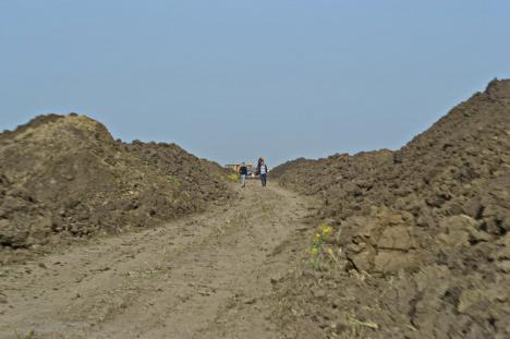 BIHOREANUL pe şantierul autostrăzii: Construirea celor 5,35 kilometri dintre Borş şi Biharia a început cu excavaţii pentru viitoarea fundaţie (FOTO)