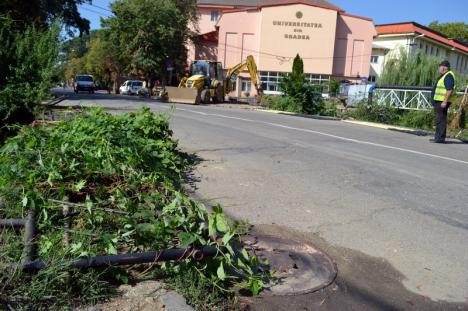 Ocoliţi! Strada Universităţii a fost închisă pentru demolarea podului peste Peţa (FOTO)