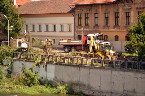 Defrişările continuă! Tăierile de arbori făcute pentru construirea terasei Lotus au avizul APM Bihor (FOTO)