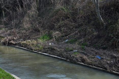 Lumi paralele pe Peţa: Un mal al pârâului din Oradea este năpădit de bălării și mizerii, celălalt este curat (FOTO)