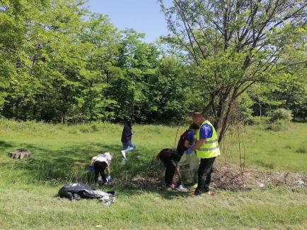 Jumătate din județ s-a înscris deja în Campionatul Bihorean al Curățeniei. În câteva comune au început ecologizările (FOTO)