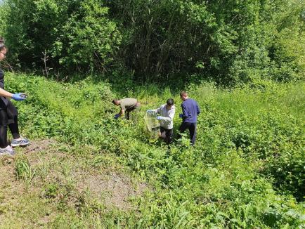 Jumătate din județ s-a înscris deja în Campionatul Bihorean al Curățeniei. În câteva comune au început ecologizările (FOTO)