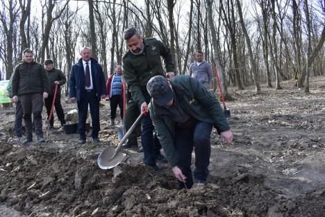 Luna plantării arborilor: Se anunță plantări record în pădurile din Bihor, în această primăvară (FOTO)