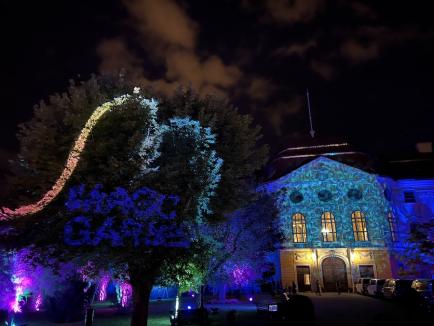 Grădina Palatului Baroc din Oradea s-a transformat într-un tărâm de poveste. Vedeta: un stejar care a prins 'viaţă' (FOTO/VIDEO)
