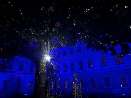 Grădina Palatului Baroc din Oradea s-a transformat într-un tărâm de poveste. Vedeta: un stejar care a prins 'viaţă' (FOTO/VIDEO)