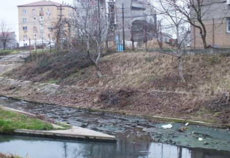 Ecologiştii acuză: În Peţa se varsă ilegal apă de canalizare menajeră