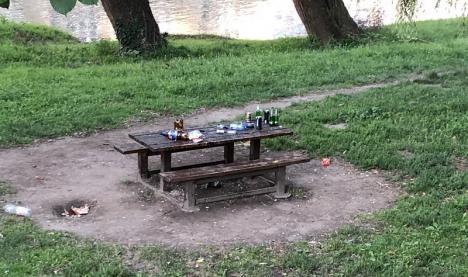 De prost gust: Tinerii fără cei 7 ani de-acasă lasă mizerii în zonele verzi din Oradea