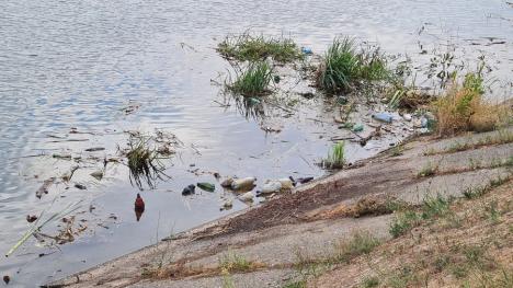 Curățenie pe Criș: ABA Crișuri a demarat decolmatarea râului, în zona Sovata (FOTO)