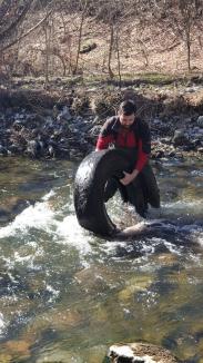 Ranger pe viață: Fost „junior ranger”, Marcus Drimbea îi învață pe copiii de la sate să iubească natura (FOTO)