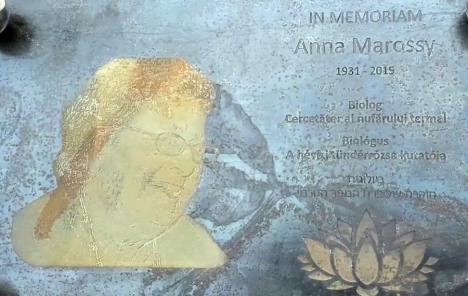 În memoria Annei Marossy: O plăcuţă comemorativă a fost amplasată în Parcul Libertăţii, pentru omagierea reputatului biolog